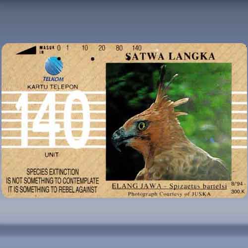 Elang Jawa